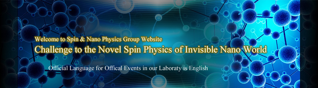 Challenge to the Novel Spin Physics of Invisible Nano World