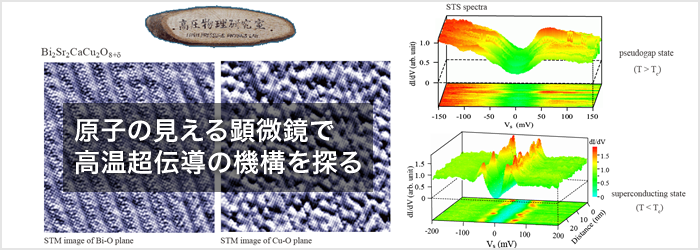 原子の見える顕微鏡で高温超伝導の機構を探る